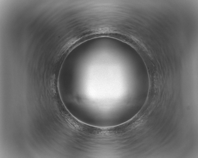 X0000059101265200510071134