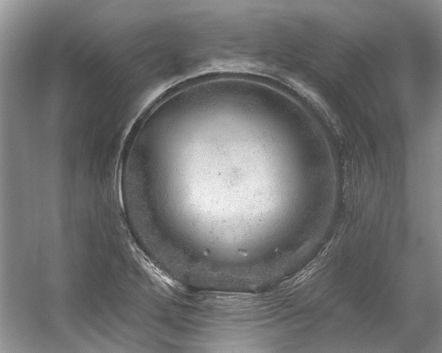 X0000059101272200510071134