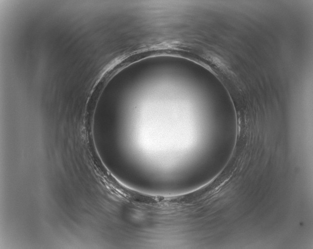 X0000059101308200510071133