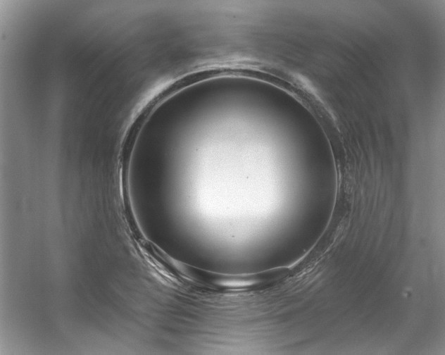 X0000059101320200510071133