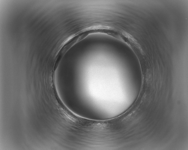 X0000059101321200510071134