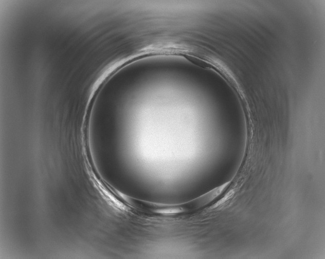 X0000059101344200510071134