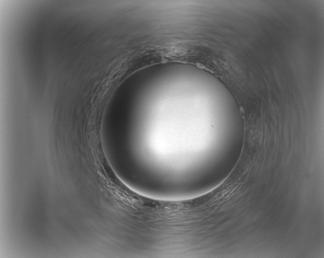 X0000059101345200510071133