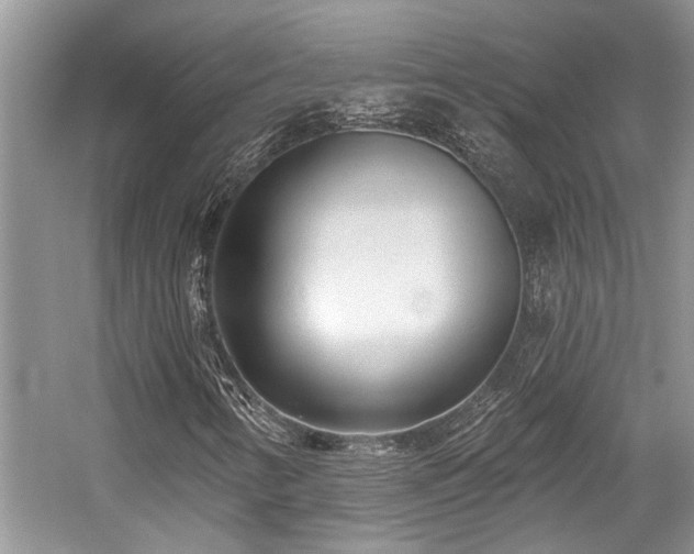 X0000059101346200510071133
