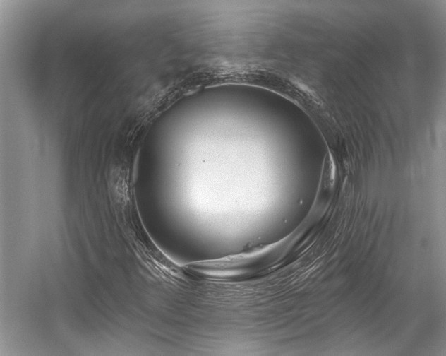X0000059101348200510071133