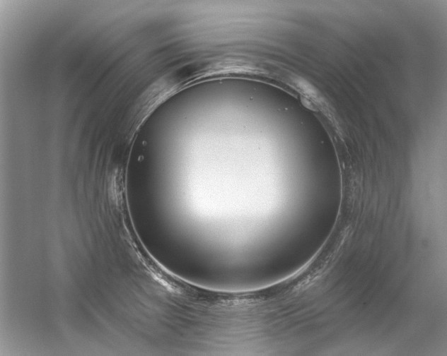 X0000059101377200510071133