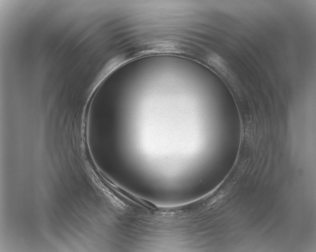 X0000059101378200510071133
