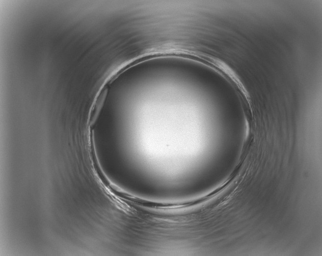 X0000059101388200510071132