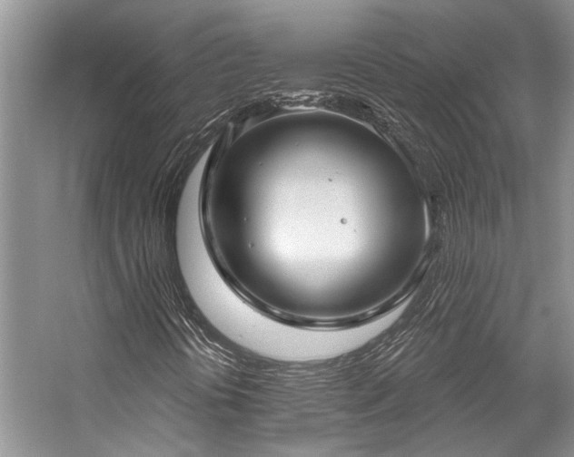 X0000059101394200510071131