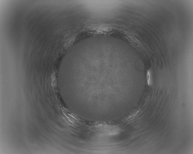 X0000059101395200510071131