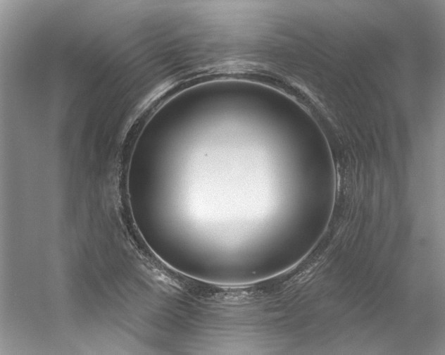 X0000059101410200510071132