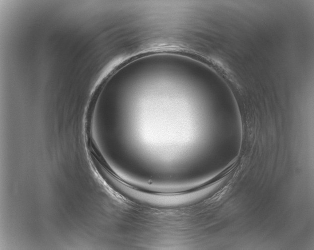 X0000059101422200510071132