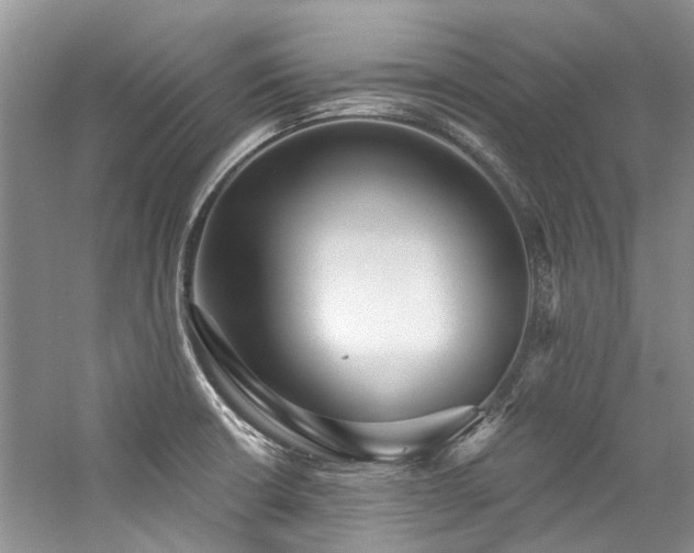 X0000059101426200510071132