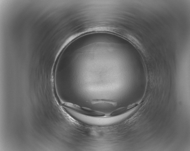 X0000059101428200510071132