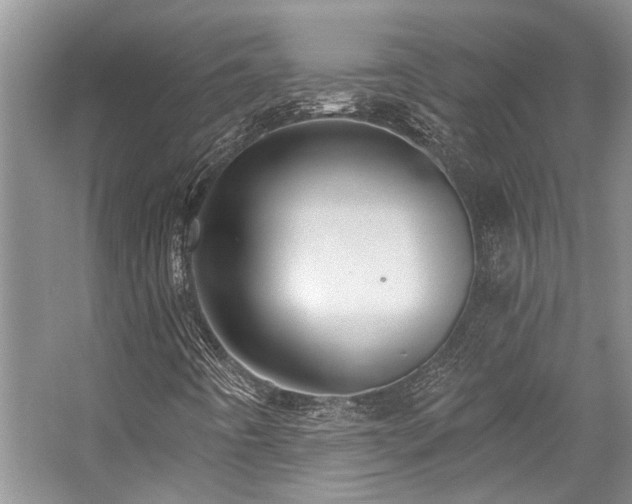 X0000059101442200510071131