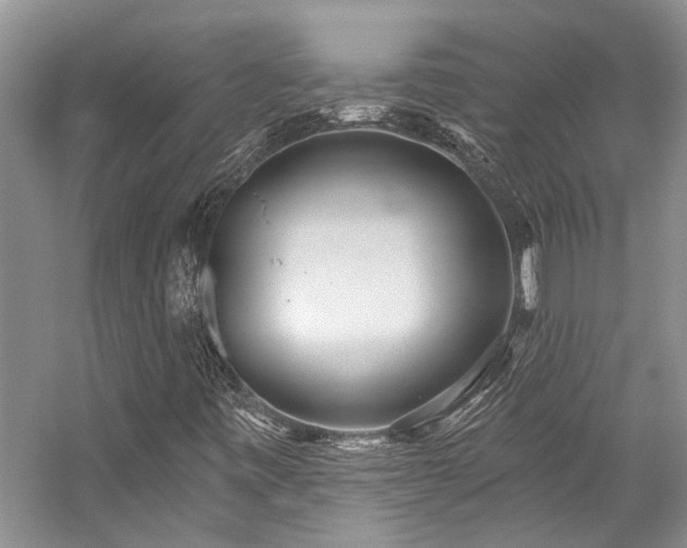 X0000059101443200510071131