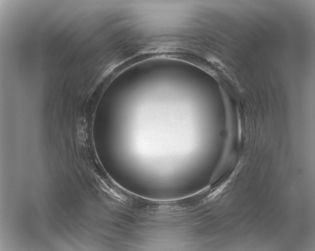X0000059101449200510071131