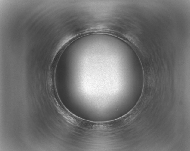 X0000059101458200510071131