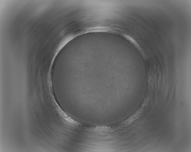 X0000059101466200510071131
