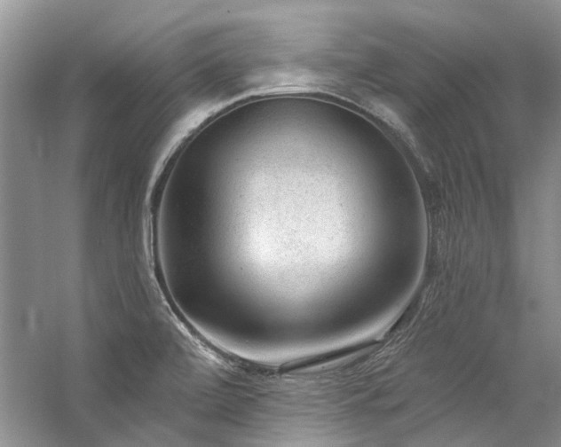 X0000059101472200510071131