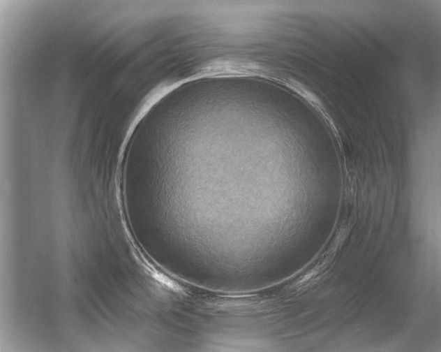 X0000059101486200510071131
