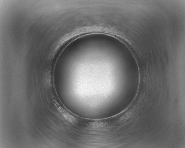 X0000059101499200510071130