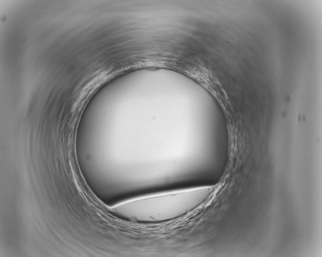 X0000059100001200510101230