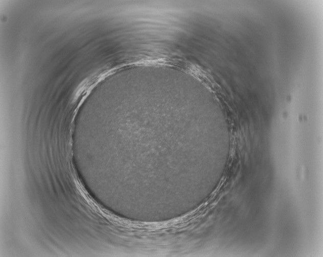 X0000059100002200510101230