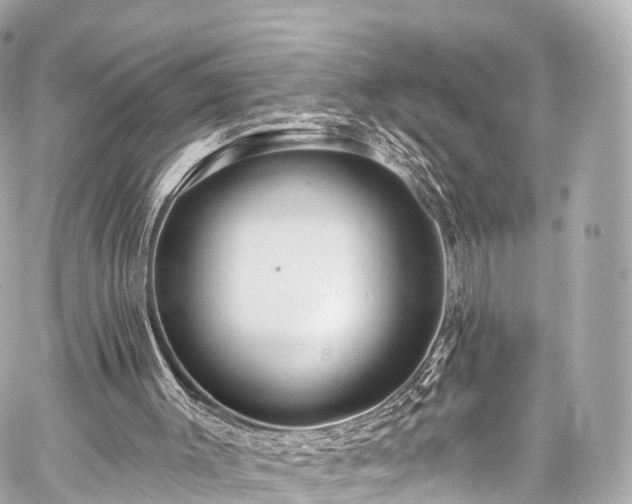 X0000059100003200510101230