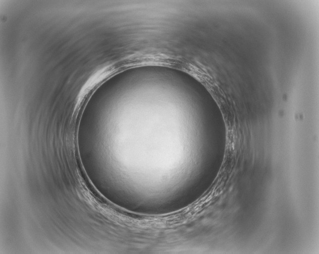 X0000059100004200510101230