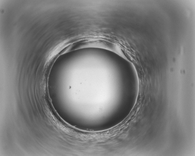 X0000059100005200510101230