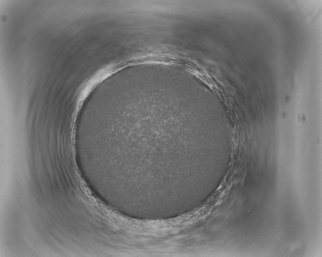 X0000059100006200510101230