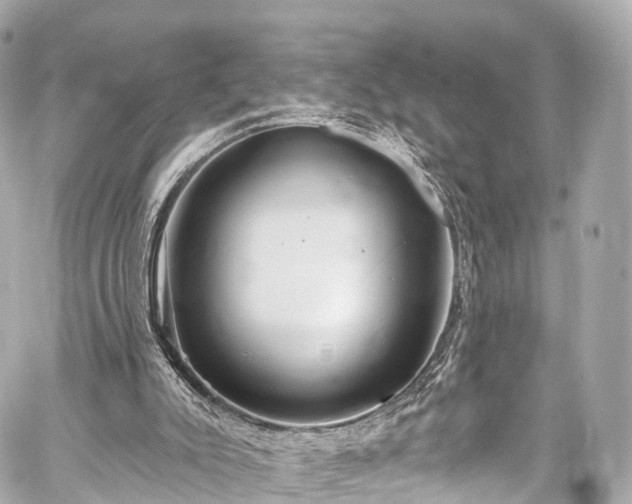 X0000059100007200510101230