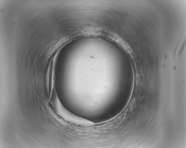 X0000059100009200510101230