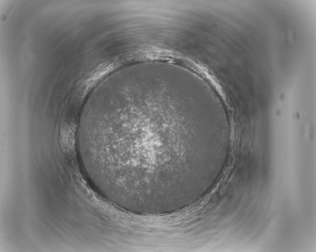 X0000059100010200510101230