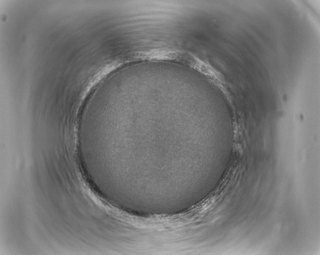 X0000059100012200510101230