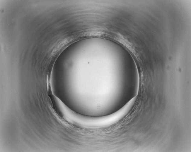 X0000059100013200510101230