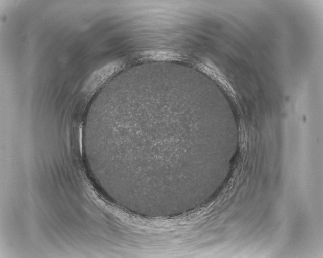 X0000059100014200510101230