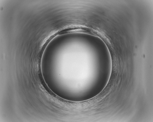 X0000059100015200510101230