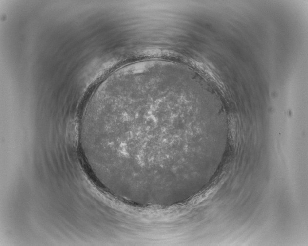 X0000059100016200510101230