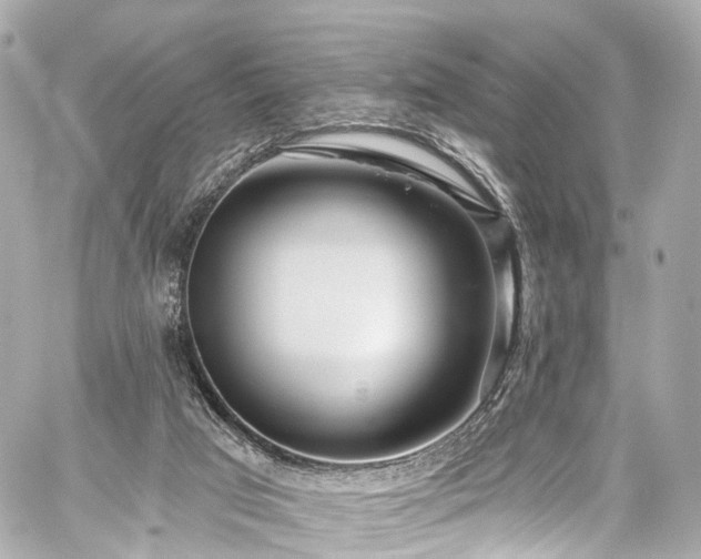 X0000059100017200510101230