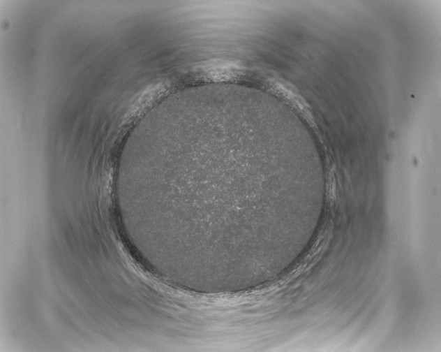 X0000059100018200510101230