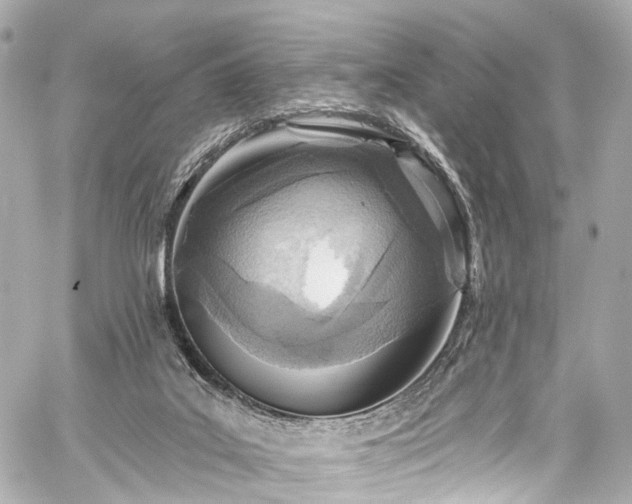 X0000059100019200510101230