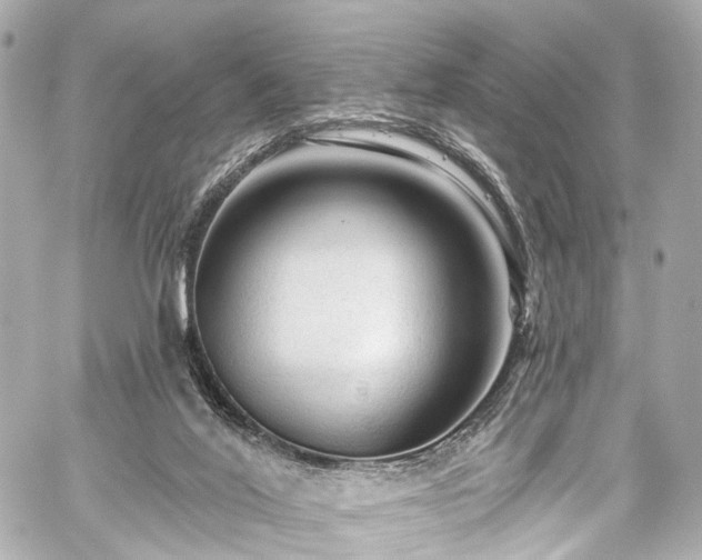 X0000059100020200510101230