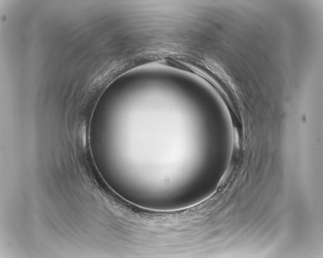 X0000059100021200510101230