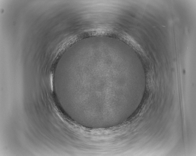 X0000059100022200510101230