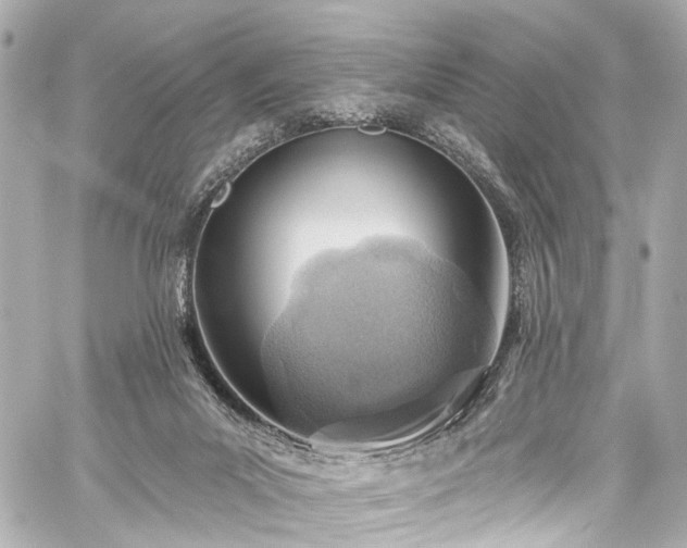 X0000059100023200510101230