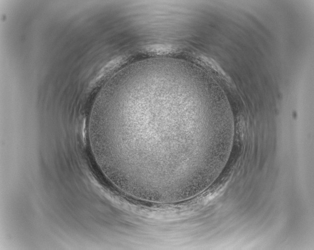 X0000059100024200510101230