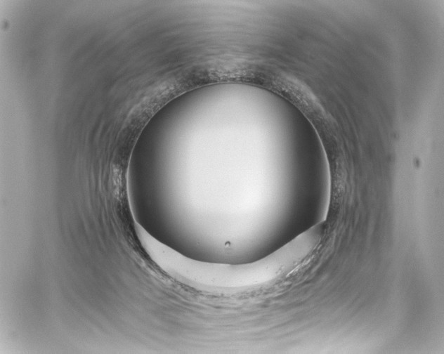 X0000059100025200510101230