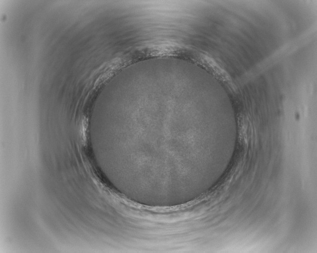 X0000059100026200510101230